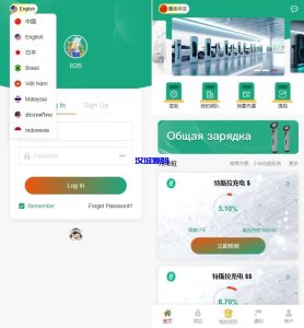 新UI新能源充电桩投资系统/海外投资理财/前端VUE-汉城海外源码