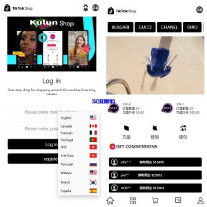 多语言TIKTOK抢单刷单系统/连单卡单/打针/前端uniapp-汉城海外源码
