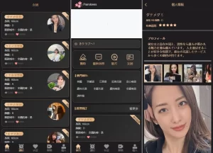 海外多语言刷单VUE空降抢单源码/空降刷单抢单源码|信用分卡单重置订单等-汉城海外源码