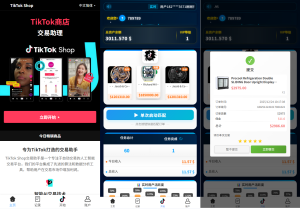 海外tiktok抢单刷单系统/手动派单/爆单卡单-汉城海外源码