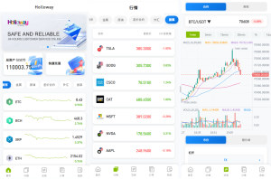 海外DAPP综合盘交易所/股票/贵金属/虚拟币/外汇/行情控制-汉城海外源码